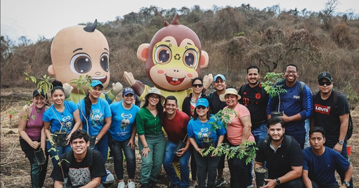 Eco resiliencia