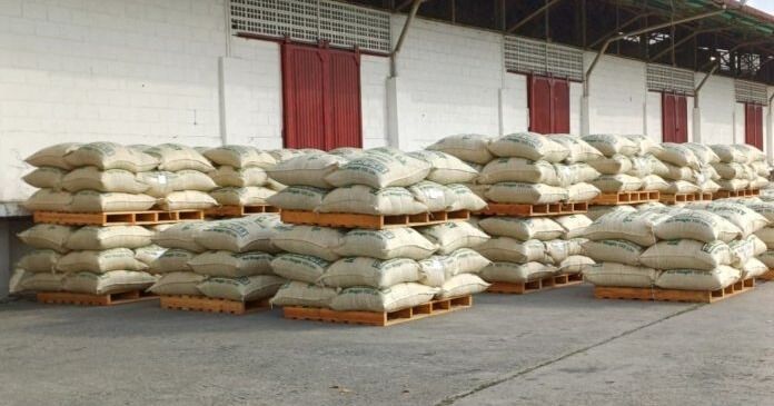 Café larense llega a EEUU: Despachan 70 toneladas de grano verde desde el Puerto Seco