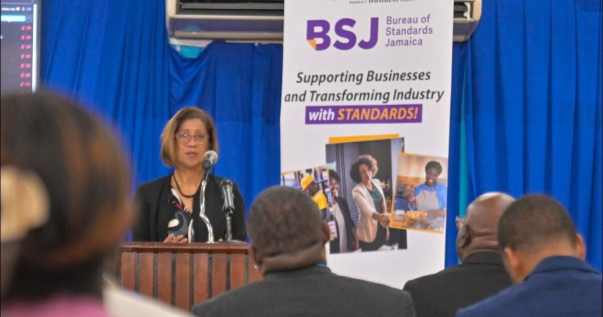 BSJ lanza los primeros estándares de accesibilidad de las TIC de Jamaica