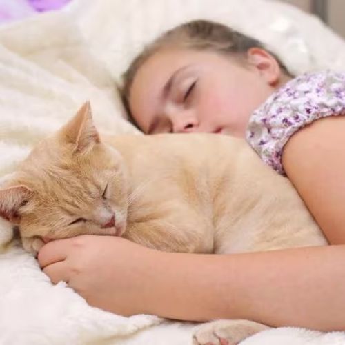 Qué enfermedades pueden transmitir las mascotas: guía para dueños responsables