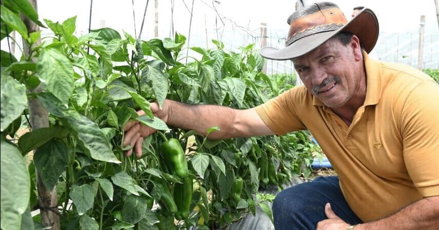 Tierra Fértil de Walmart impulsa a 245 productores agrícolas hacia la agroempresa sostenible en Costa Rica