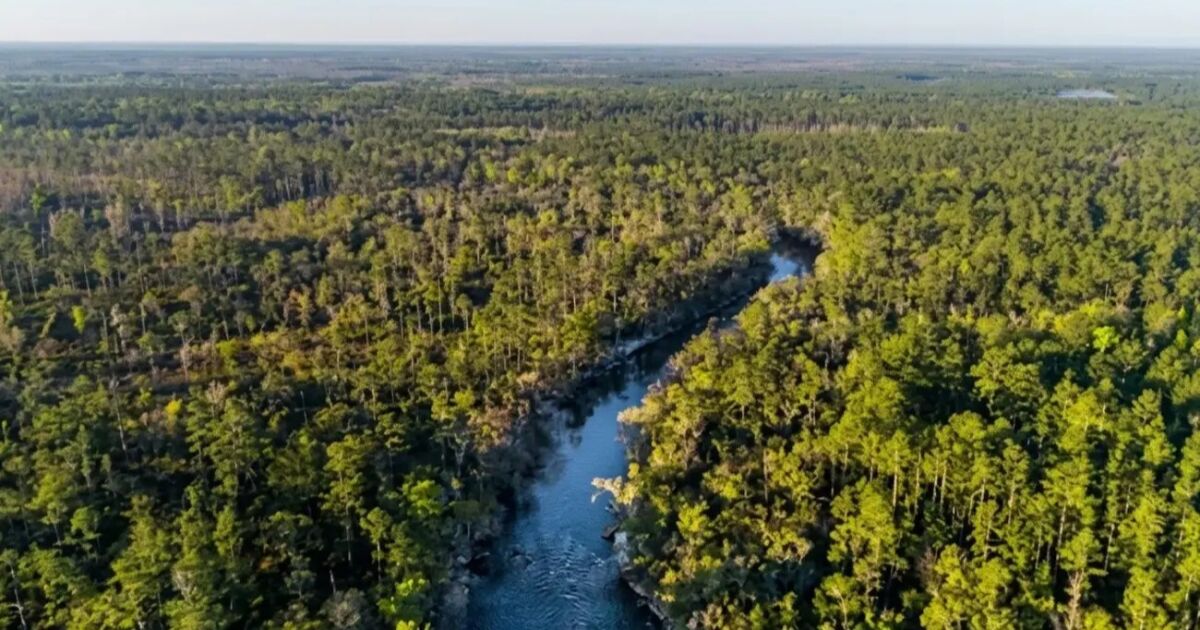 NatGeo ubica al Florida Trail entre las mejores rutas de senderismo del mundo