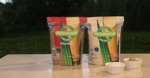 Providencia lanza empaque 100% reciclable para línea orgánica en alianza con Dow