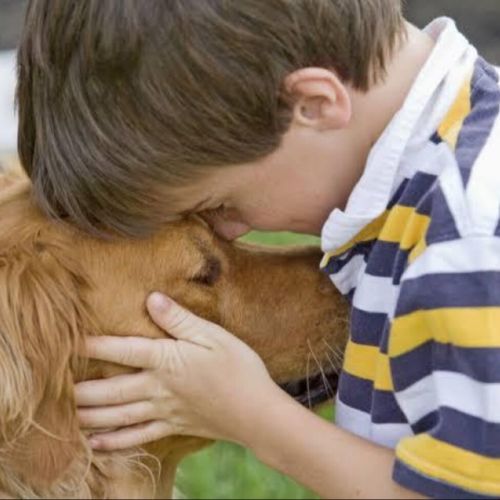 National Institutes of Health NIH: Mascotas, un remedio contra el estrés, para la Salud Mental