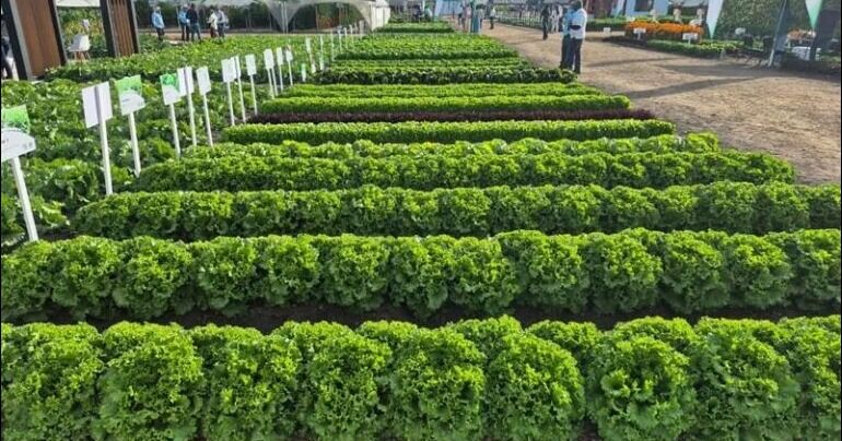 Costa Rica presenta su propuesta país para la inversión en agroindustria y sectores estratégicos en México