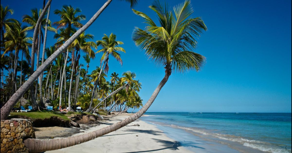 Punta Cana será sede de cumbre de Onu Turismo para África y América en  octubre - Revista Factor de Éxito