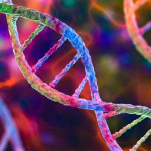 Estudio revelaría que la evolución no es tan aleatoria como se creía