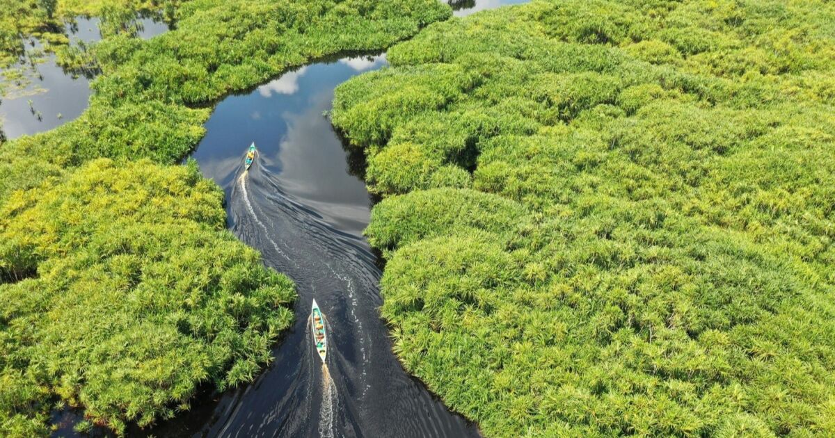 ¿Cómo afecta el cambio climático a los países latinoamericanos? Expertos revelan claves para cubrir la COP30