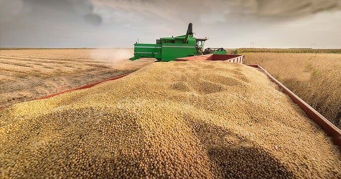 Trump anuncia 12.000 millones de dólares en ayudas para agricultores