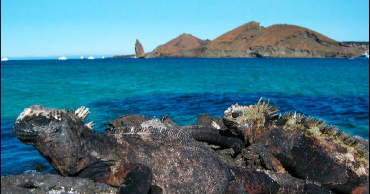 Turismo exclusivo para cuidar entorno natural del parque nacional en Islas Los Galápagos