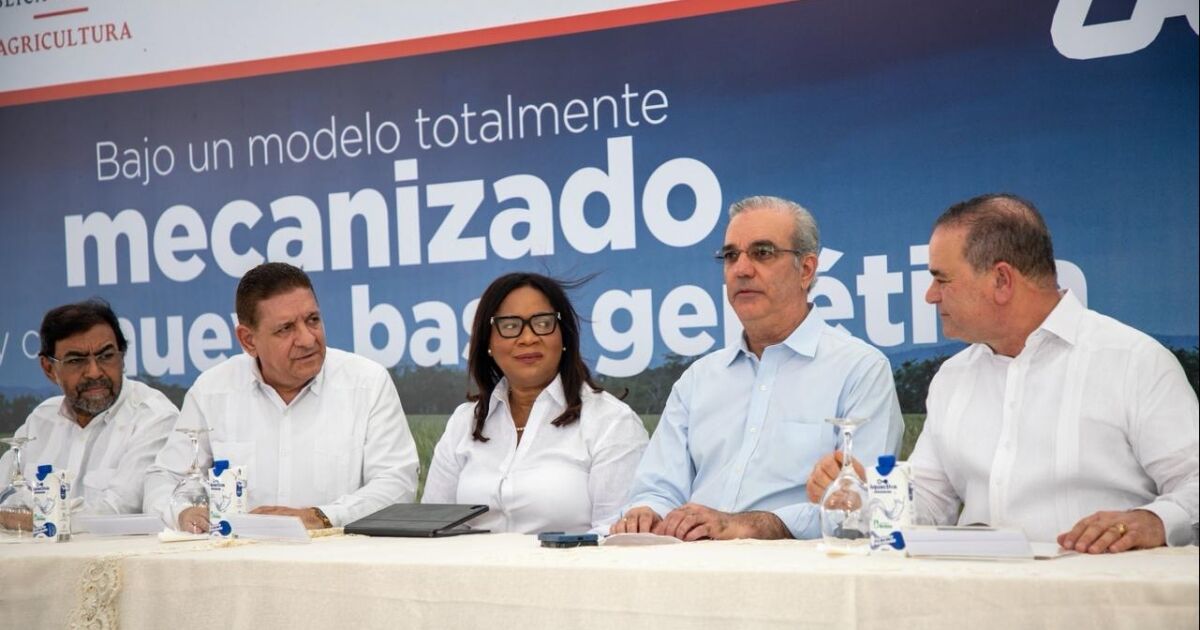 RD se convierte en el mayor productor de arroz del Caribe y Centroamérica