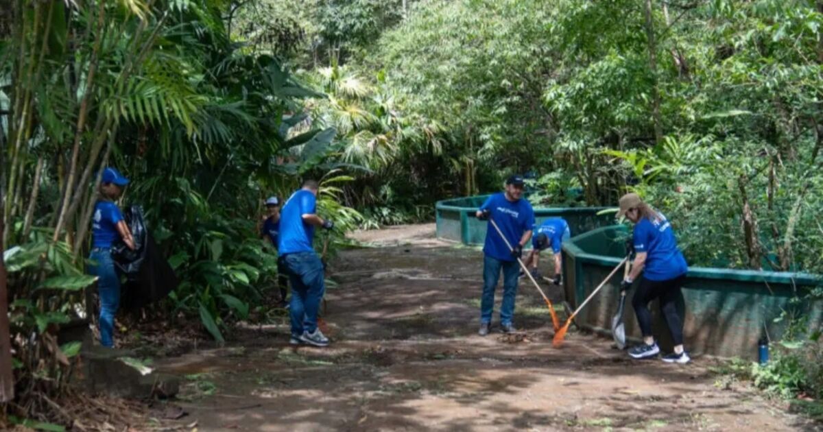 FIFCO supera las 20 mil horas de voluntariado en 2025 y reafirma su compromiso con el desarrollo regenerativo