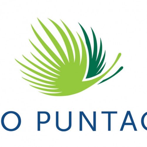 Grupo Puntacana Portada