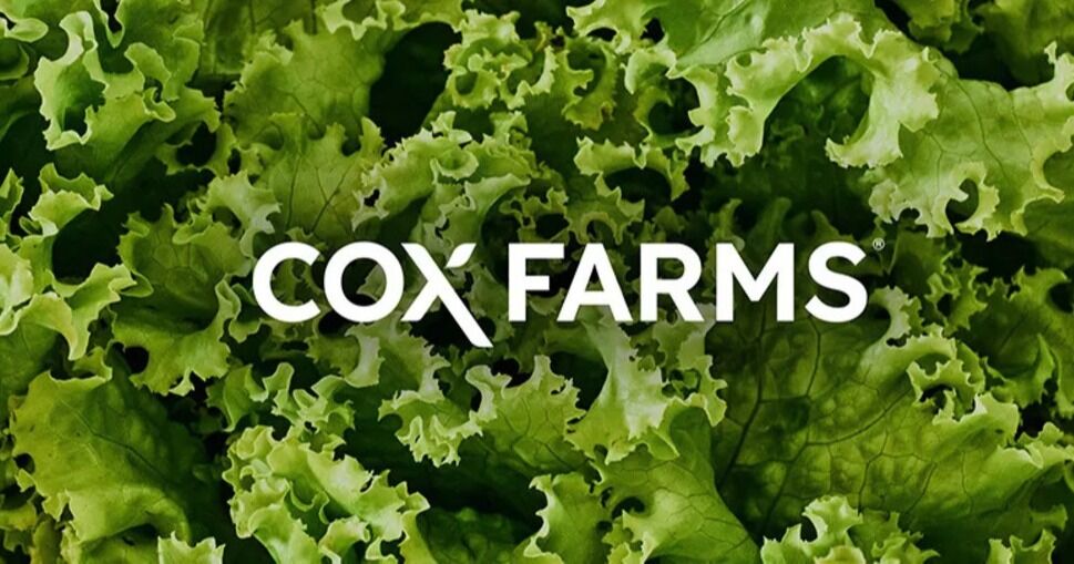 Cox Farms amplía su equipo de liderazgo para impulsar la innovación y el crecimiento en la agricultura de interior