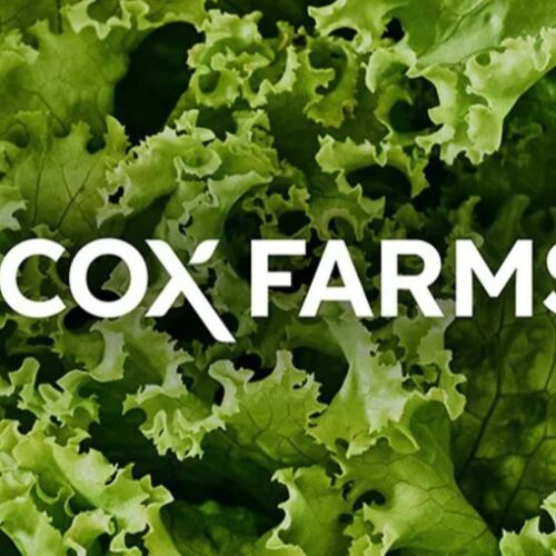 Cox Farms amplía su equipo de liderazgo para impulsar la innovación y el crecimiento en la agricultura de interior