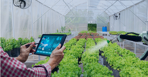 AgroCognitive: tecnología que impulsa la descarbonización agrícola en Venezuela