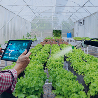 AgroCognitive: tecnología que impulsa la descarbonización agrícola en Venezuela
