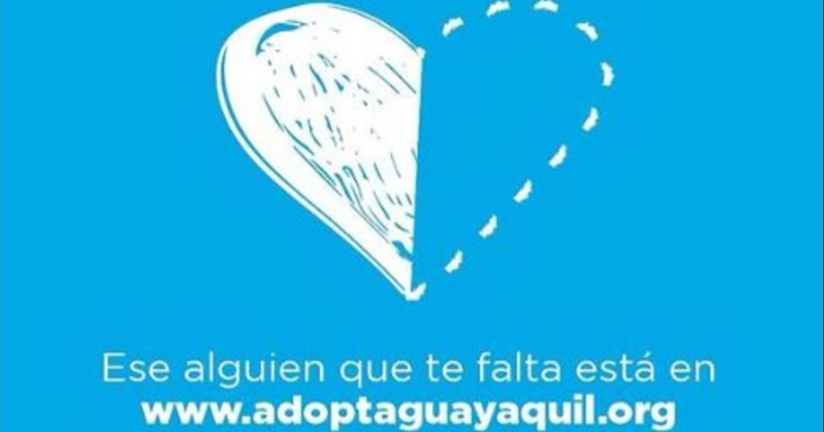 Cientos de animales podrán ser adoptados en sitio web lanzado por Bienestar Animal de Guayaquil