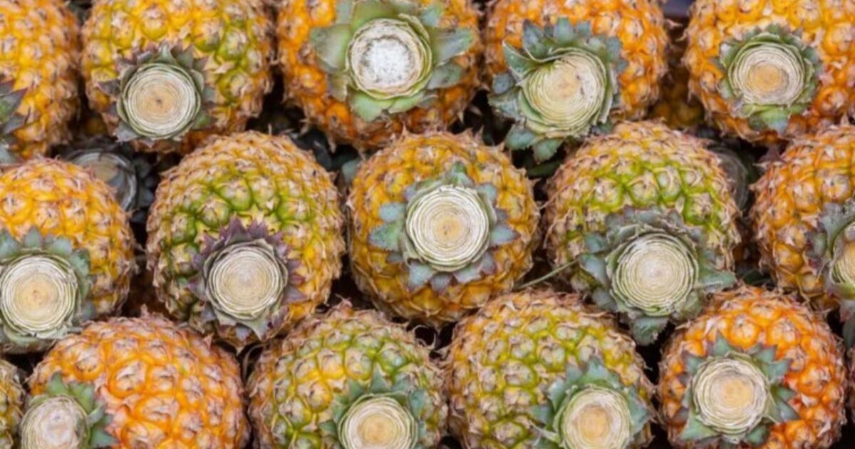 Agro costarricense muestra señales de transformación con mayor diversificación en su oferta exportadora