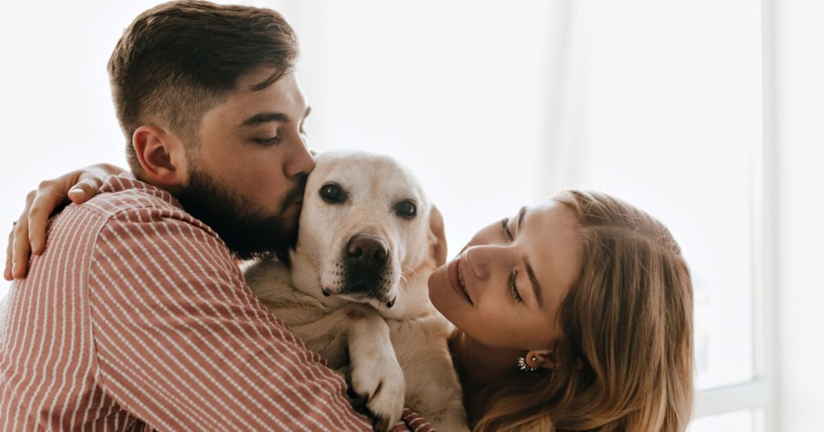 México, primer país en el mundo en lograr el registro de  NUMELVI® tratamiento de segunda generación para la dermatitis alérgica en perros