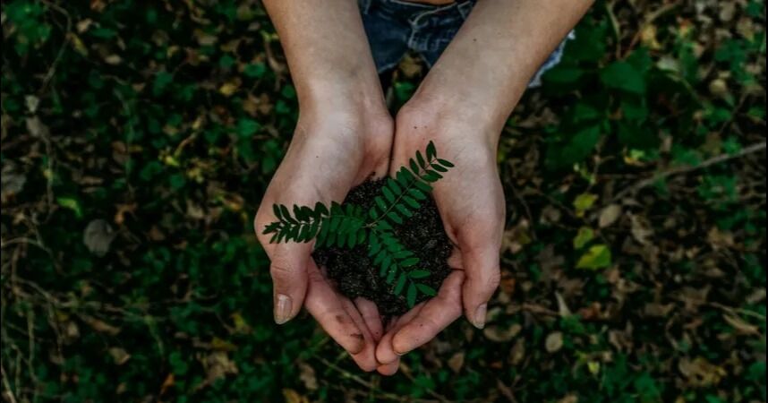 Conmemoramos el Día de la Tierra para fomentar la importancia del cuidado del medioambiente