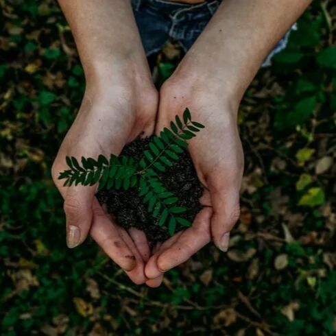 Conmemoramos el Día de la Tierra para fomentar la importancia del cuidado del medioambiente