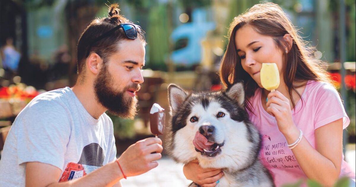 Día del Helado: del cacao a la guanábana, los ingredientes ecuatorianos que protagonizan una nueva generación de helados