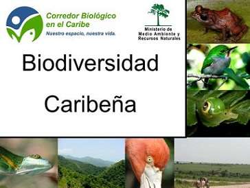 Avances y logros en el Corredor Biológico del Caribe