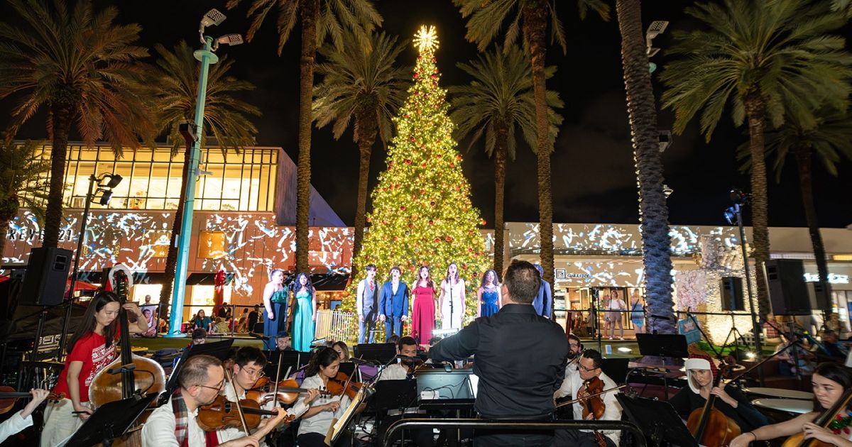 Miami, entre las 10 mejores ciudades para celebrar la Navidad
