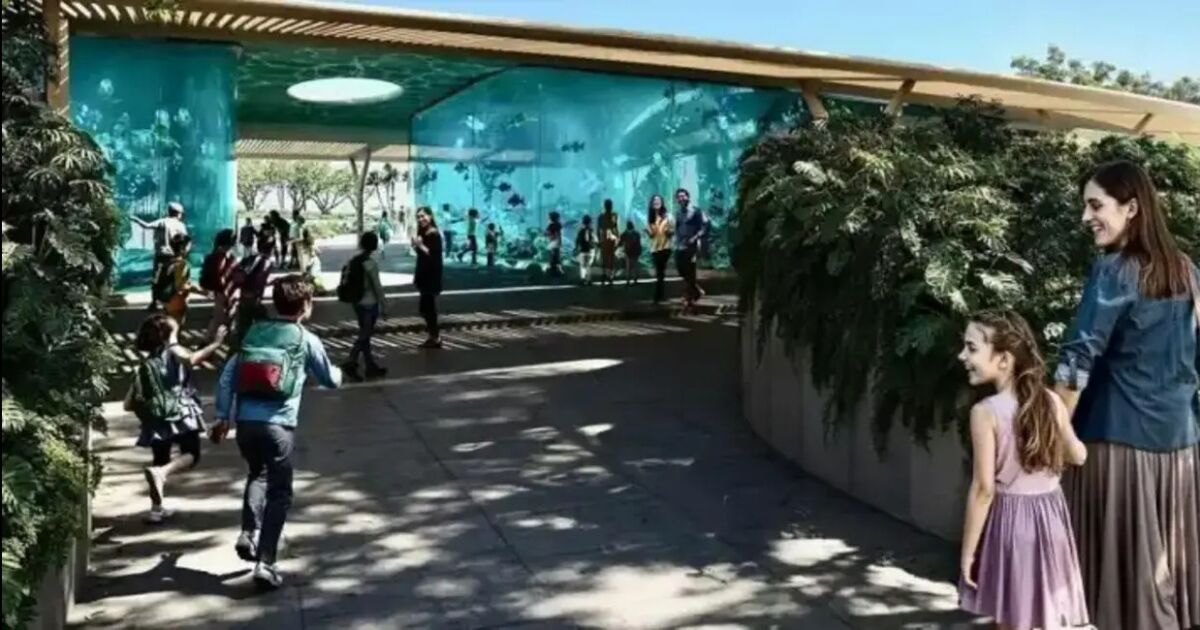 Terra propone un complejo sin delfines y enfocado en educación y acceso público