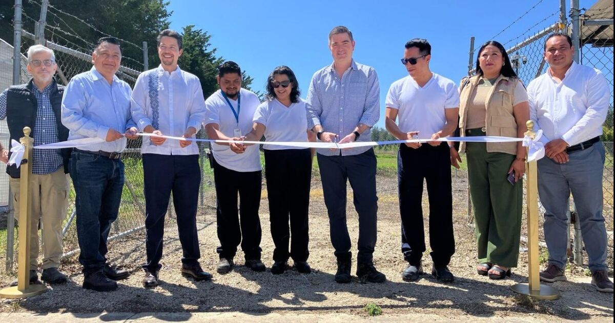 Bayer impulsa sostenibilidad con nueva planta solar en Chiapas
