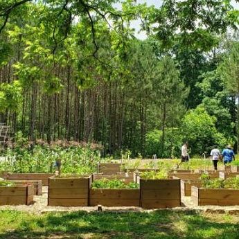 Así es el bosque alimentario gratuito de Atlanta, el mayor de los Estados Unidos