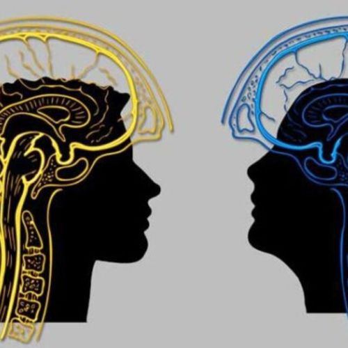 El bilingüismo temprano mejora la eficiencia cerebral y la conectividad neuronal