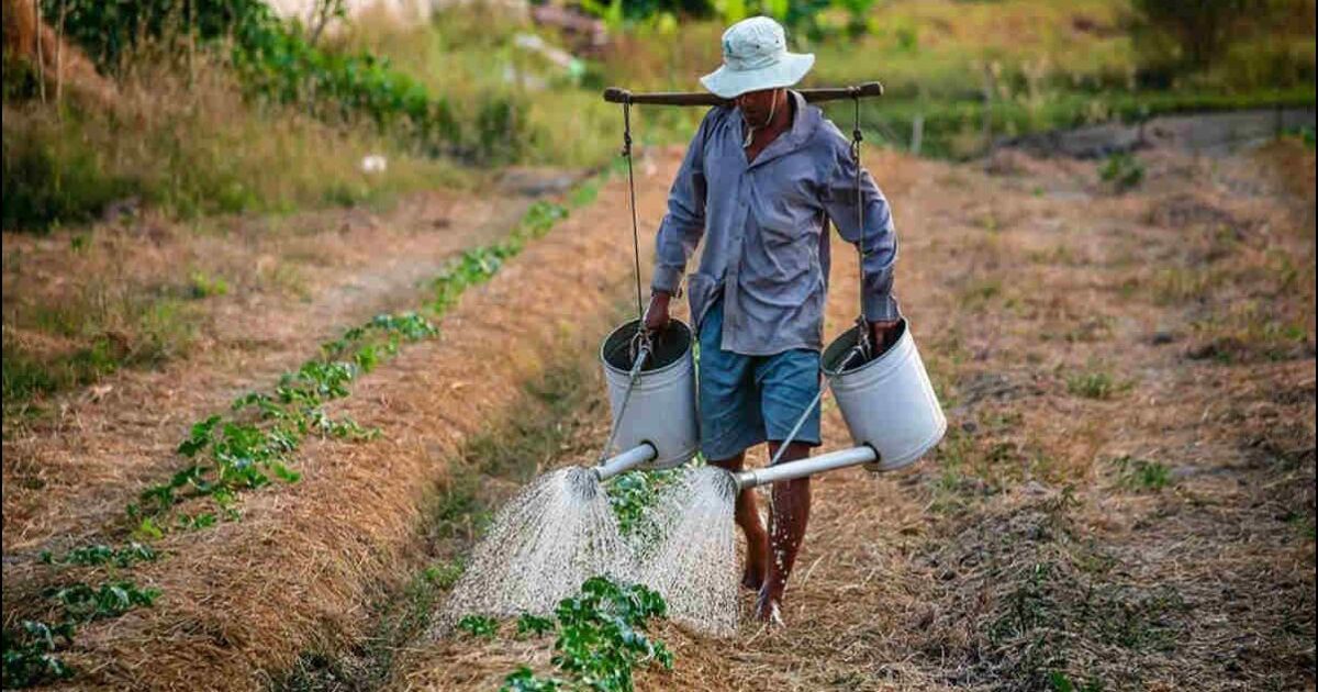 Gobierno destina ₡5.500 millones para reactivar producción de 23.958 productores afectados por lluvias de 2024