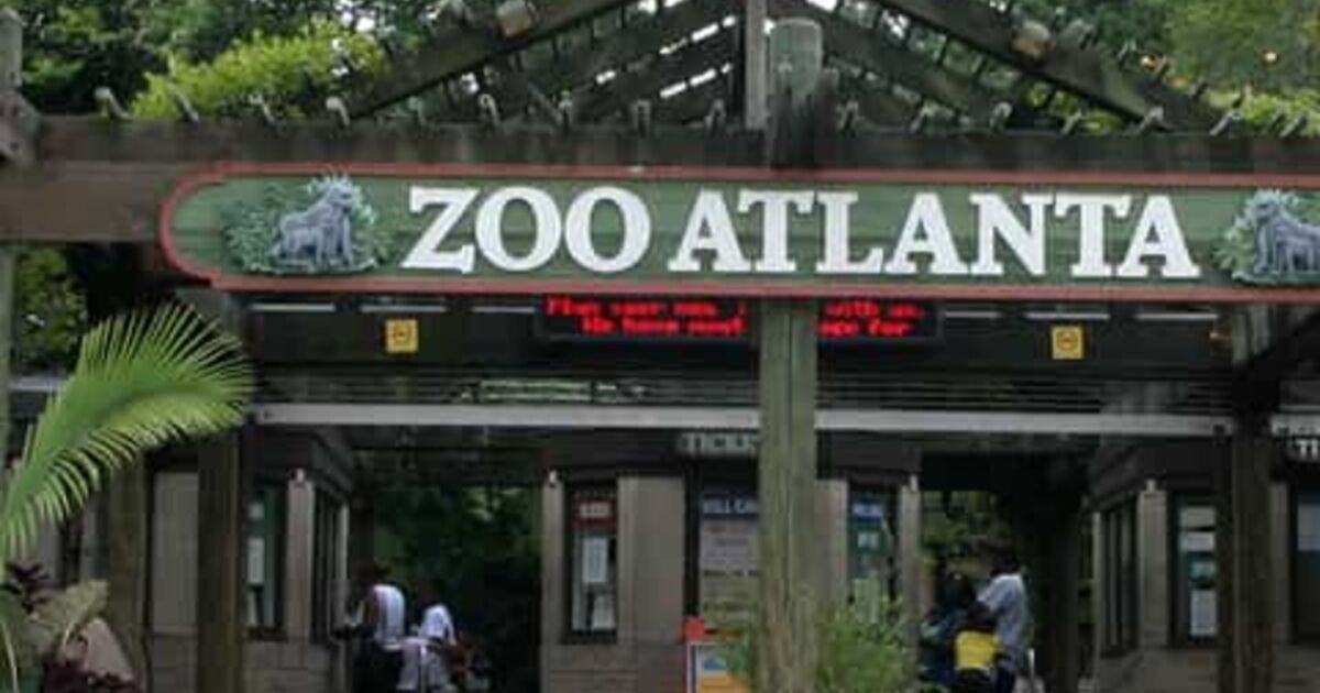 El Zoológico de Atlanta promete apoyo a programas globales de conservación de la vida silvestre