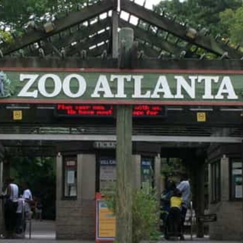 El Zoológico de Atlanta promete apoyo a programas globales de conservación de la vida silvestre