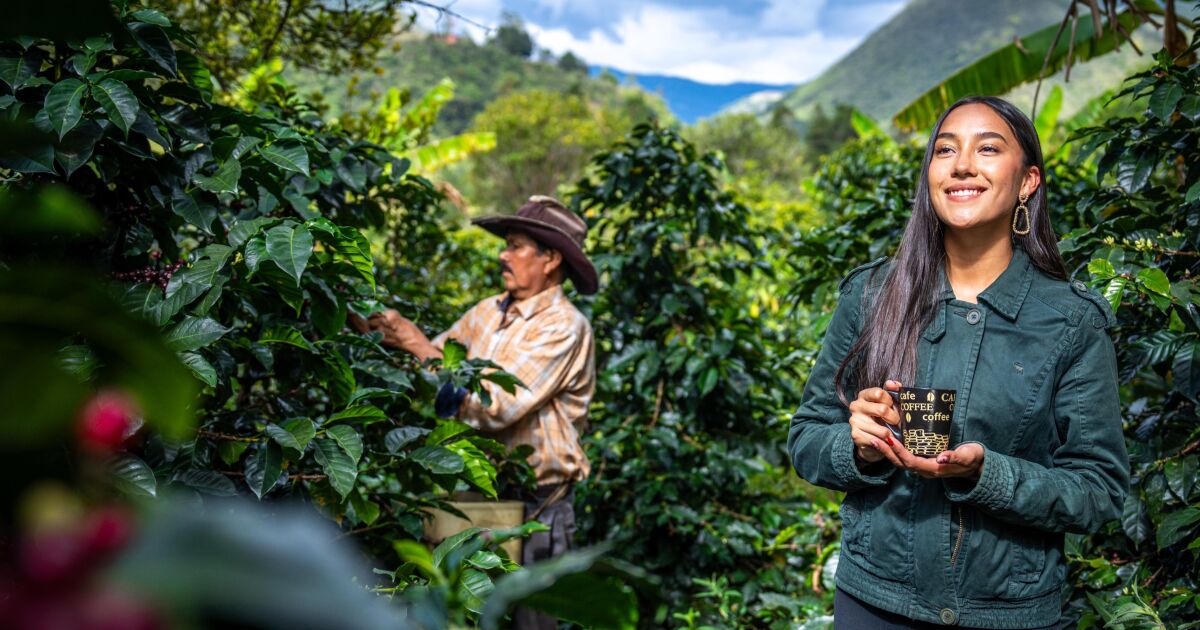 Colombia convierte la sostenibilidad en su mayor atractivo turístico, marcando cifras históricas