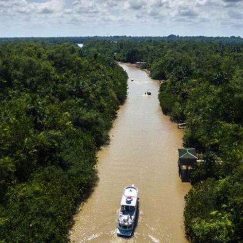 Exposición “Amazonía: Hub de BioCreatividad” busca inspirar la acción conservacionista en EE. UU.