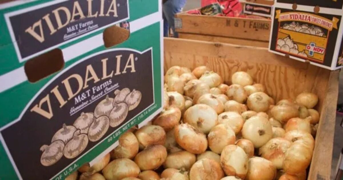 Las cebollas Vidalia de Georgia, famosas en todo el mundo, llegarán al mercado