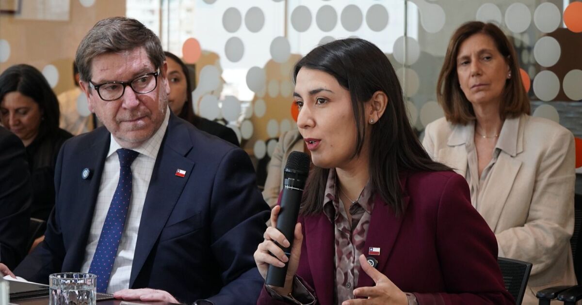Mesa Mujer y Minería realiza primera sesión 2026 con más de 160 representantes de todo el país