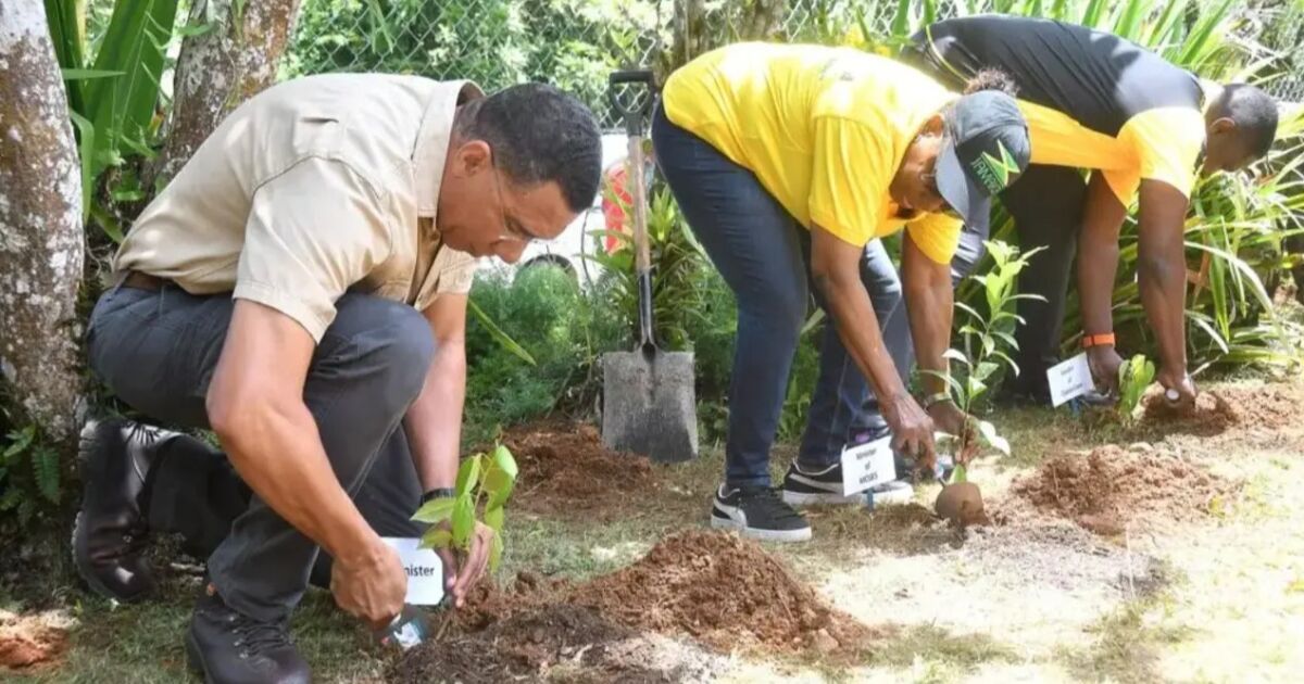 Grange anima a los jamaicanos a participar en las actividades del Día del Trabajo