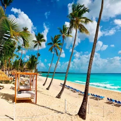 En el 2023 los ingresos por turismo internacional alcanzaron 1,4 billones de dólares.