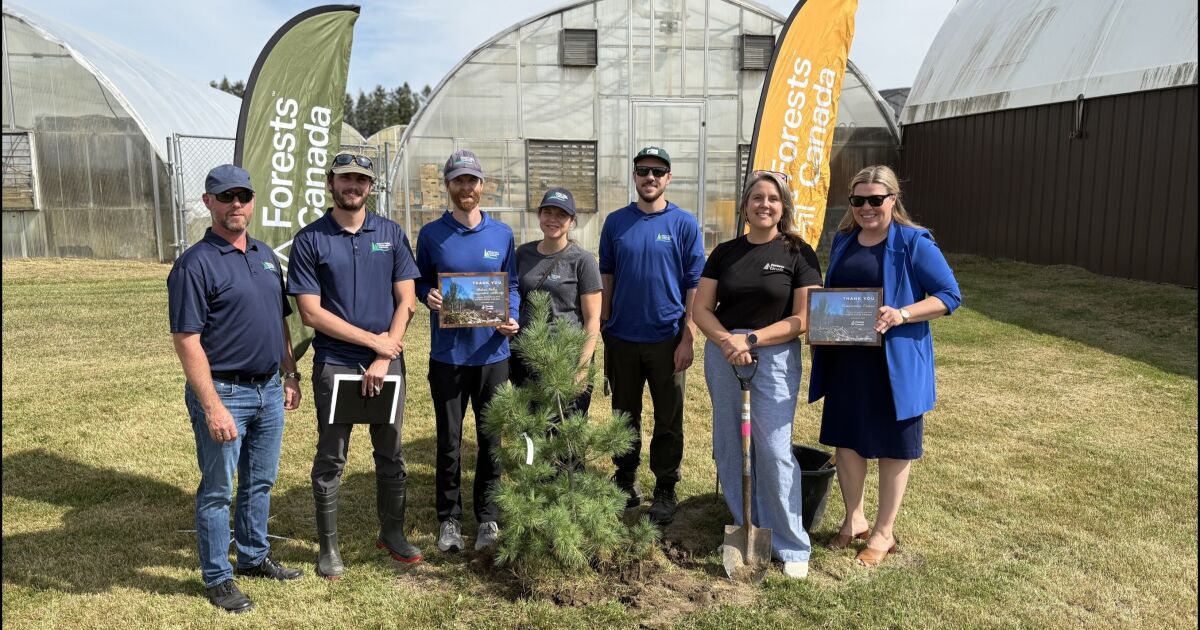 Bosques Canadá y las Autoridades de Conservación de Ontario se asocian para plantar 25 millones de árboles