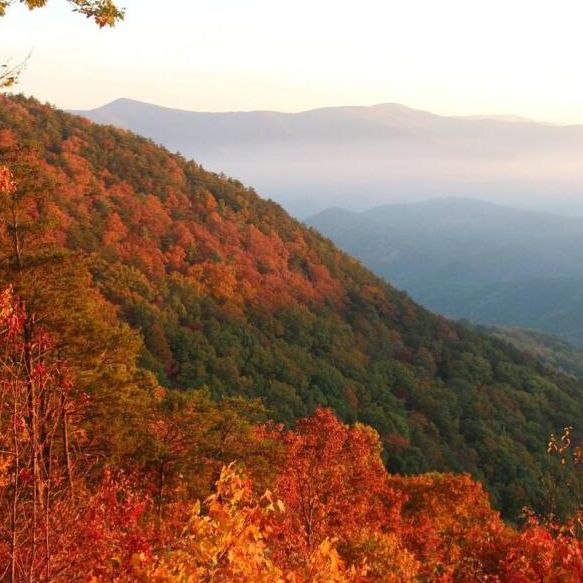 Estos son algunos de los mejores senderos para visitar en Georgia durante el otoño