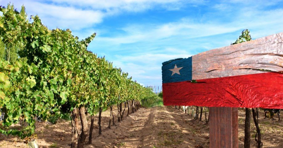 Chile y EE.UU. estrechan relaciones bilaterales para el intercambio de frutas frescas