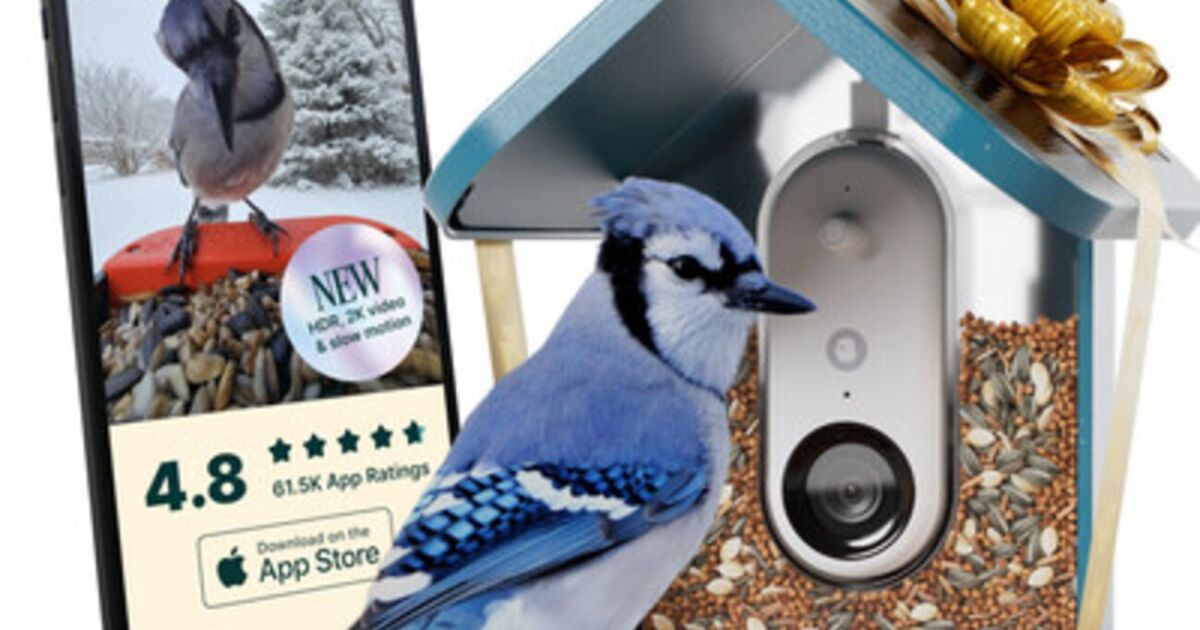 Best Buy Canadá se convierte en el primer socio minorista exclusivo canadiense en ofrecer el galardonado comedero inteligente Birdbuddy Pro