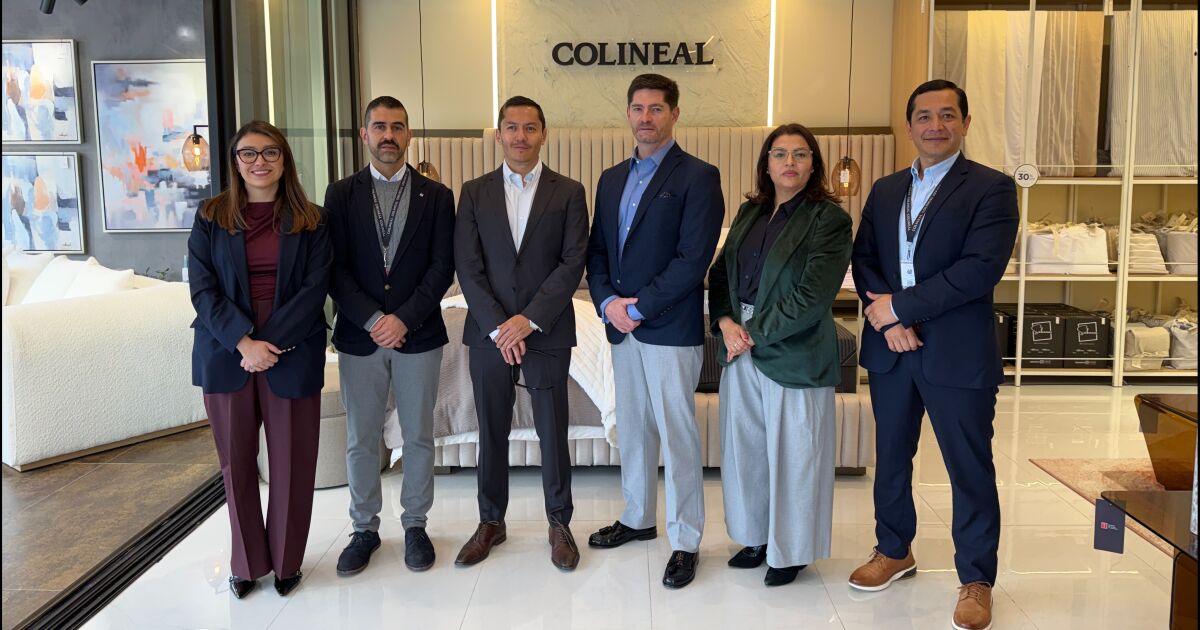 Colineal inaugura "Colineal Dreams", su tienda de descanso con nuevas aperturas en Cuenca y Manta