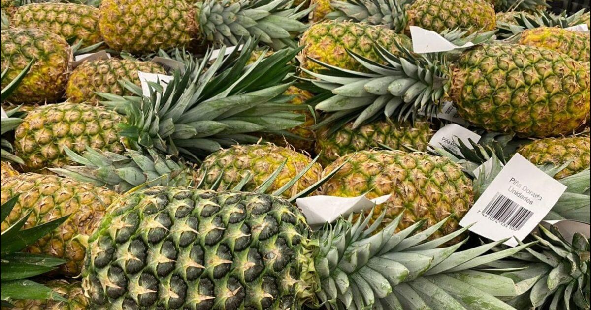 Costa Rica exporta al mundo más de 320 productos agrícolas