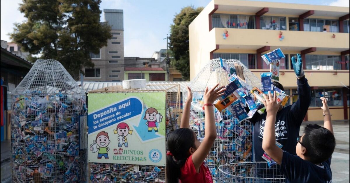 Nutrición escolar en Ecuador: Compromiso con la salud infantil y la sostenibilidad