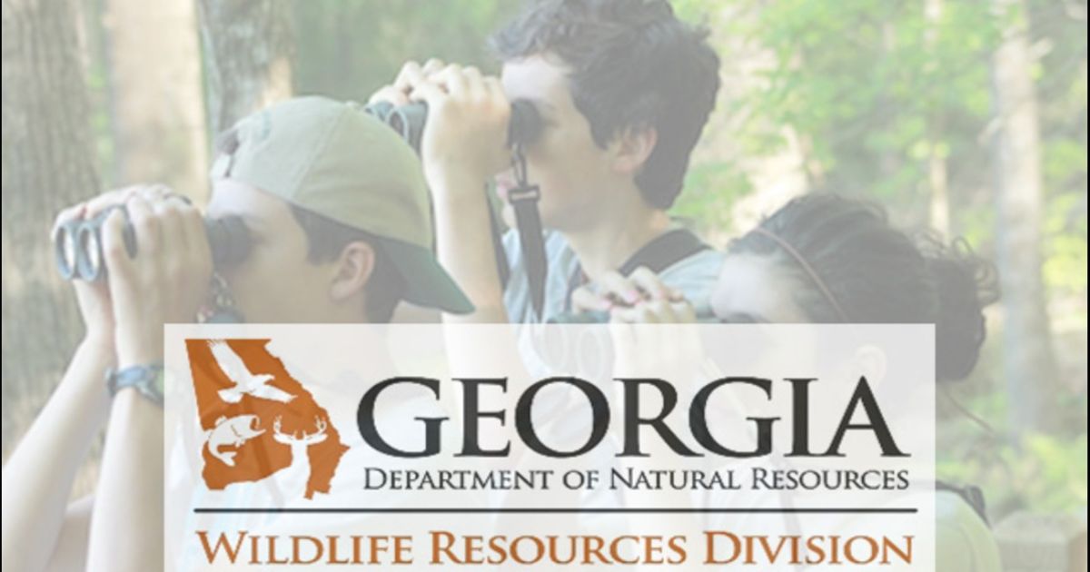 Nuevos proyectos de observación de vida silvestre reciben subvenciones; Departamento de Recursos Naturales de Georgia